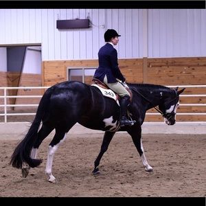 Meet your Posher, Sydney